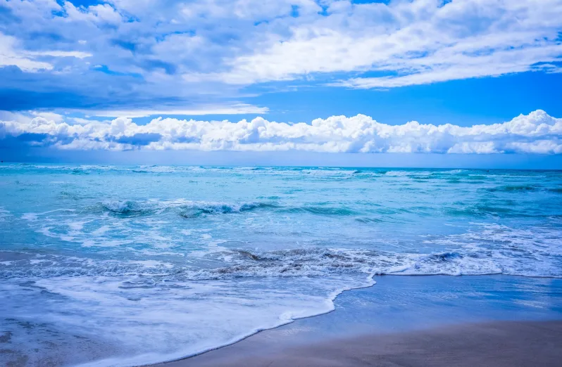 pantai trisik jogja