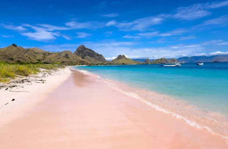 pink beach lombok