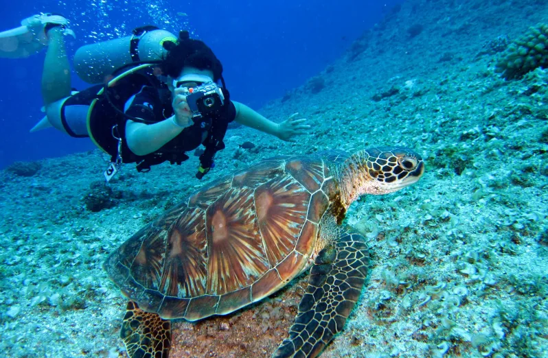 snorkeling di nusa penida