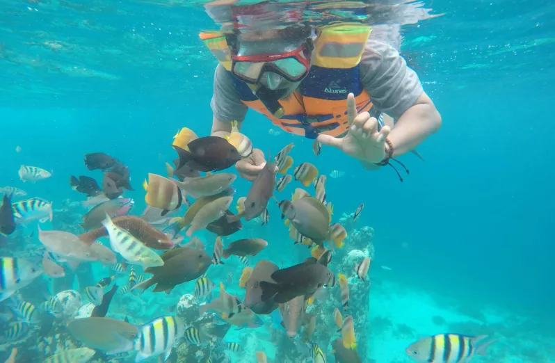 snorkeling kuta lombok snorkeling pulau tidung