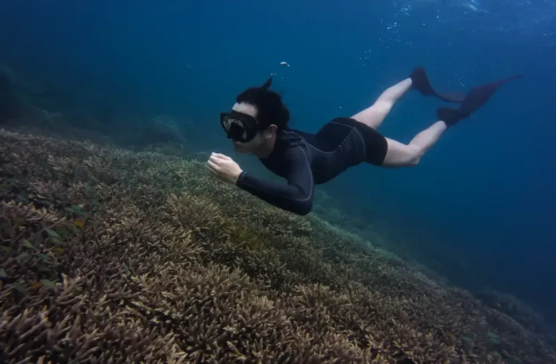 snorkeling pulau seribu