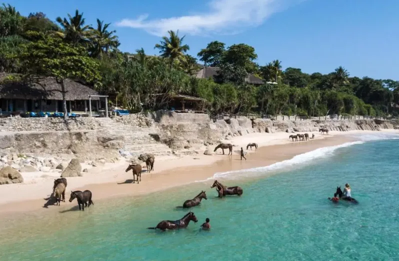 things to do in sumba island