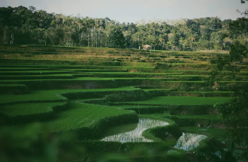 tempat wisata sumba