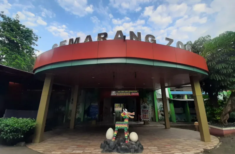 wisata edukasi di semarang zoo