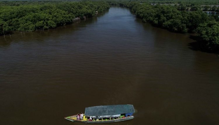fasilitas wisata alam hutan mangrove wonorejo