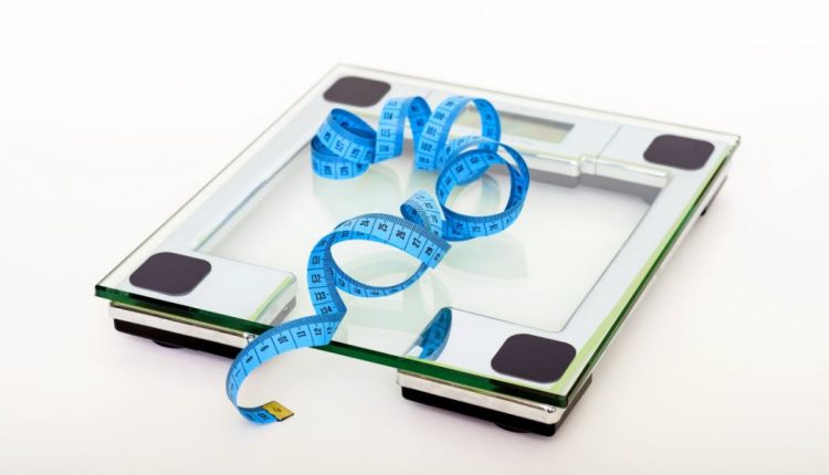 Menurunkan berat badan manfaat seledri bagi kesehatan