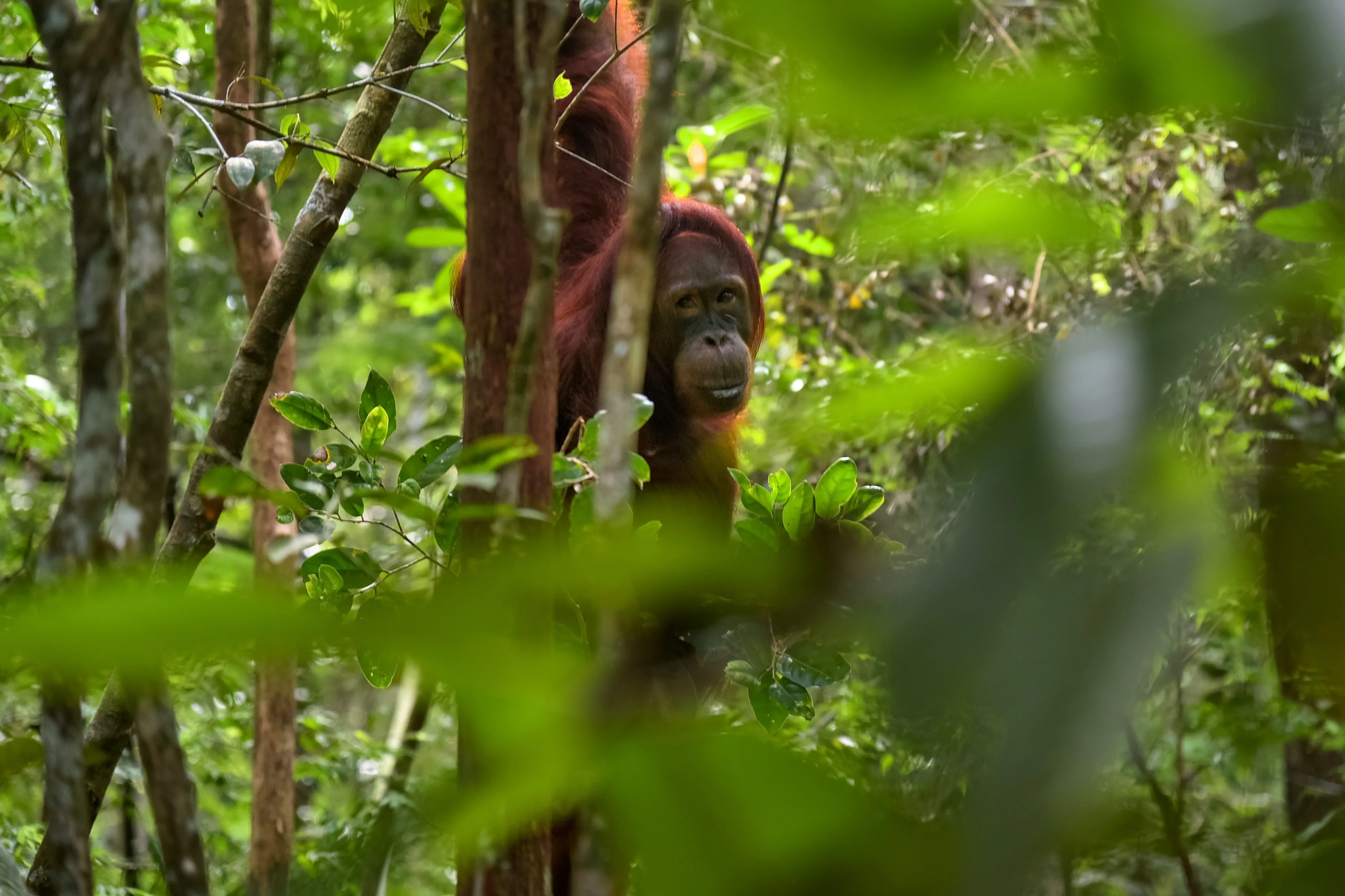 Taman Nasional Yang Cantik Dan Wajib Kamu Kunjungi!