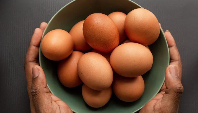 makanan yang membantu ingatan telur