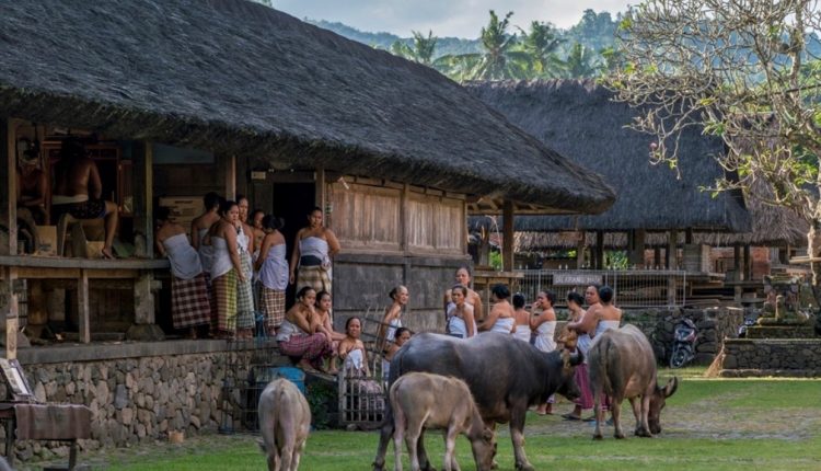 Desa Wisata Tenganan Pegringsingan Bali
