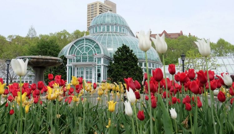 Brooklyn Botanic Garden kebun raya terindah di dunia