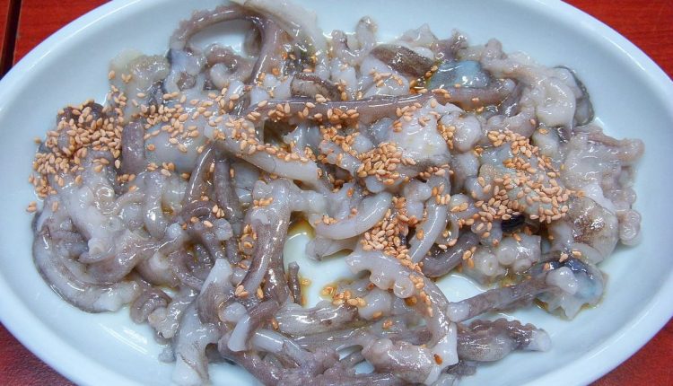 Sannakji kuliner ekstrem Korea Selatan