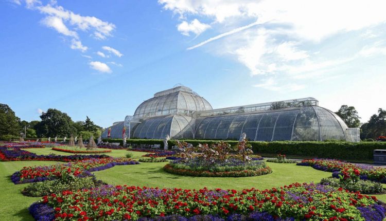 Royal Botanic Garden Kew kebun raya terindah di dunia