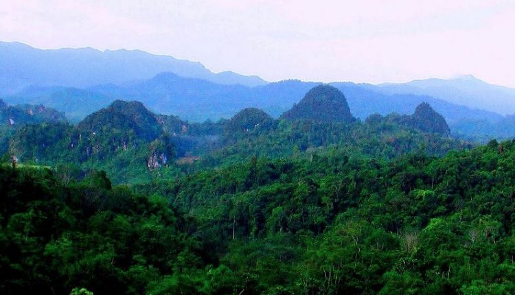 Hutan Bukit Barisan hutan paling angker di Indonesia