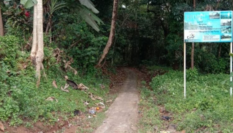 Hutan Leuweung Sancang hutan paling angker di Indonesia