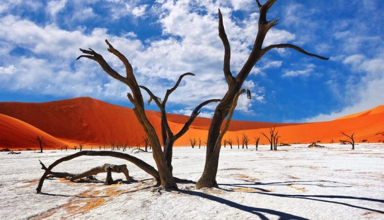 Namib-Naukluft National Park taman nasional terbesar di dunia