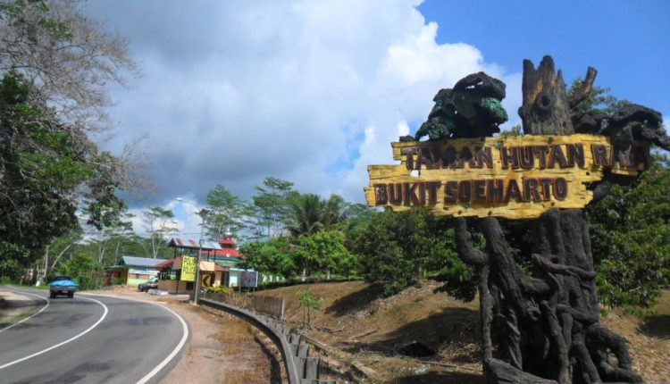 Taman Hutan Raya Bukit Soeharto hutan paling angker di Indonesia