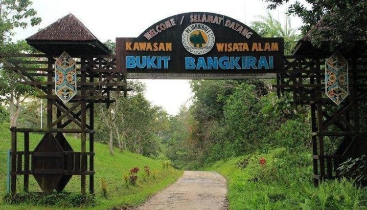Bukit Bangkirai tempat wisata kutai kartanegara