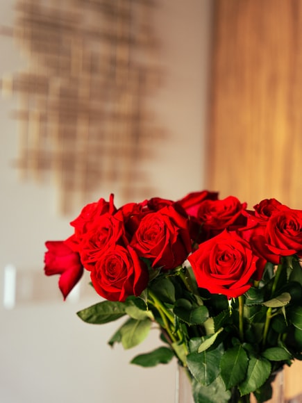 Bunga lambang cinta, mawar merah