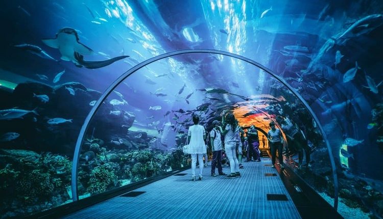 Jakarta Aquarium