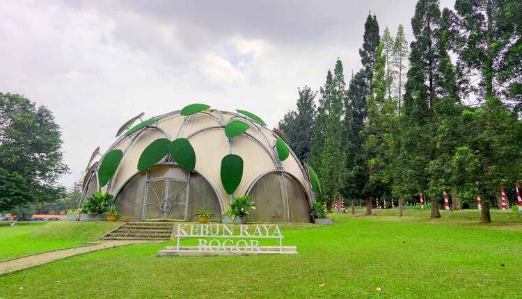 tempat wisata hits Bogor kebun raya