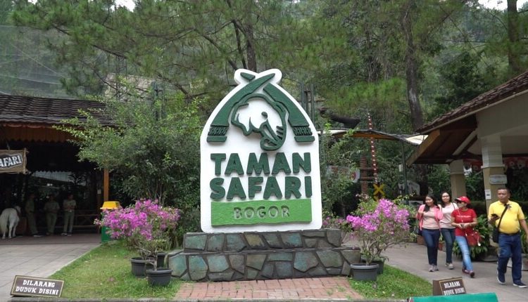 tempat wisata hits Bogor taman safari