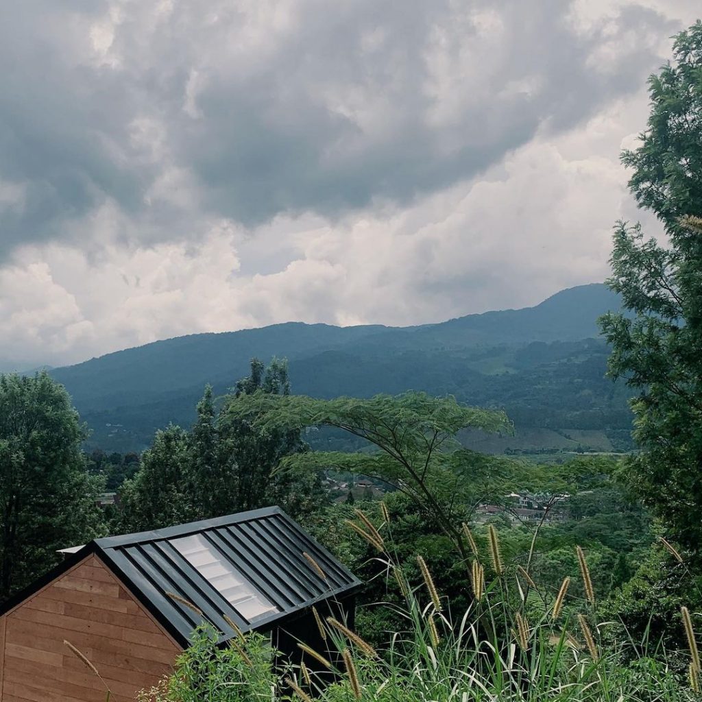 5 Tempat Wisata Kebun Teh Puncak Bogor Yang Asri Dan Sejuk