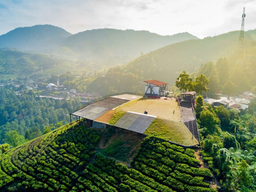 Butuh Healing? Ini Aktivitas Dan Fasilitas Gunung Mas Puncak Bogor!