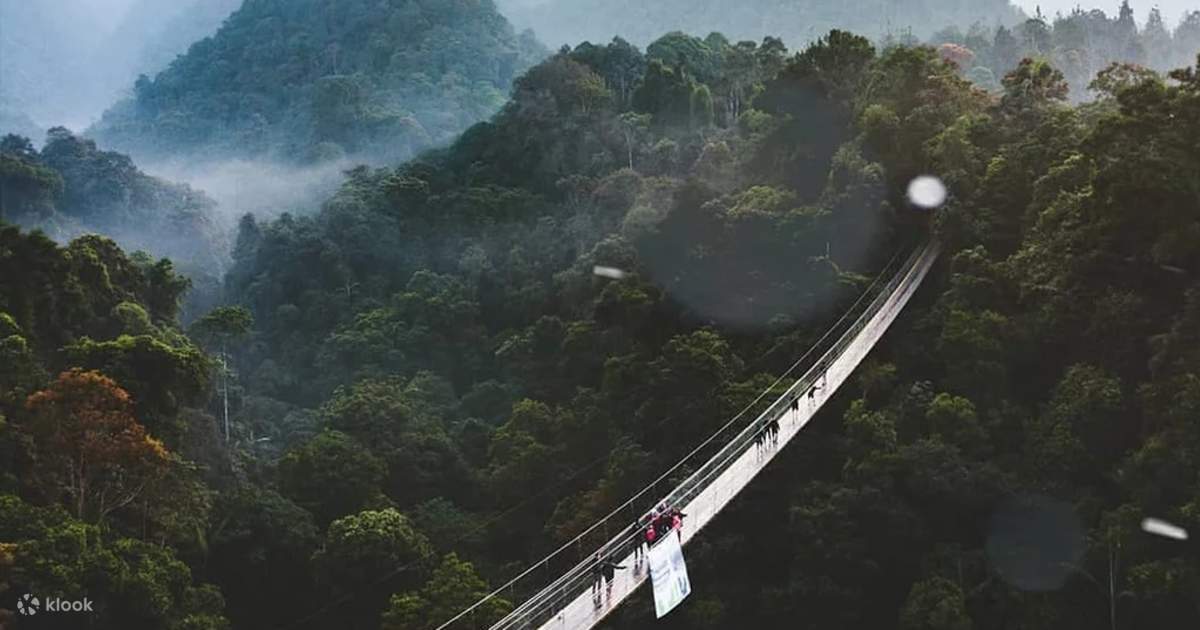 Tempat Healing Di Situ Gunung Sukabumi Dan Destinasi Alam Sekitarnya!