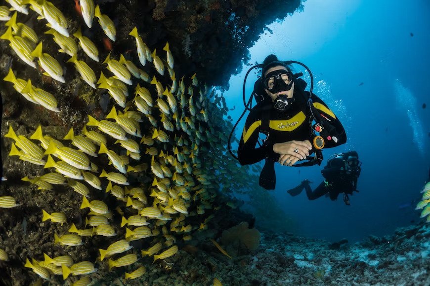 perbedaan snorkeling dan scuba diving