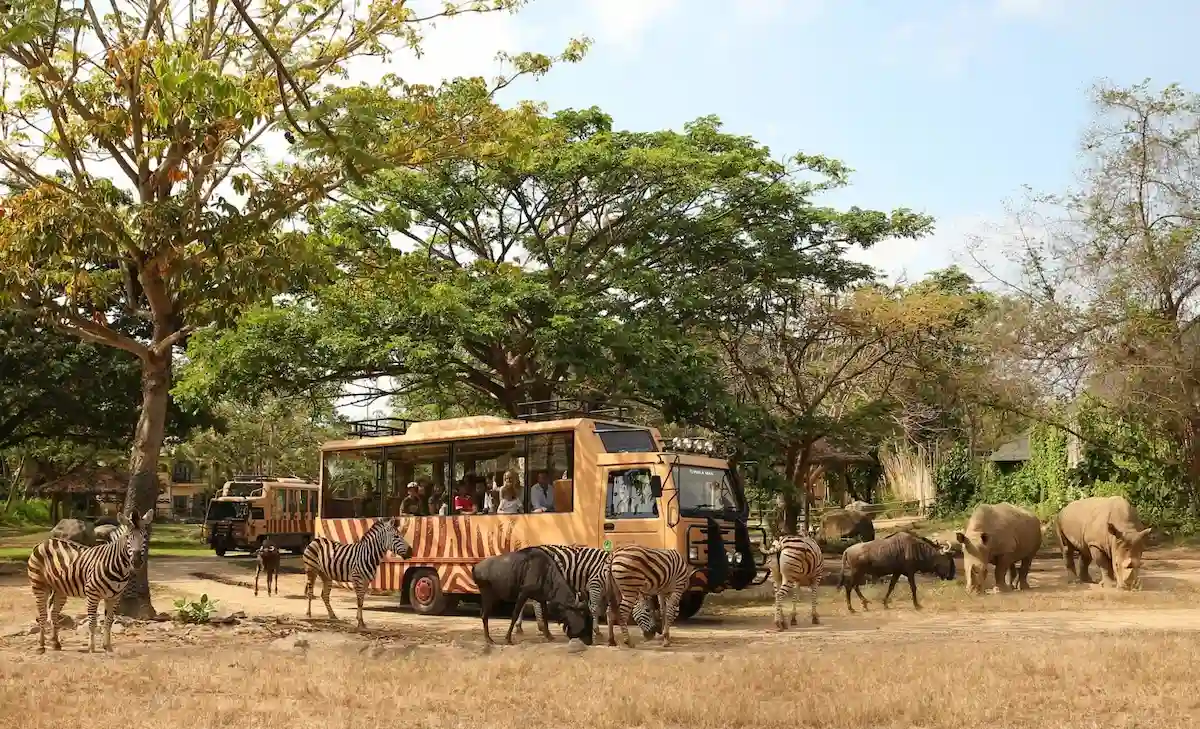 bali zoo vs bali safari 2021