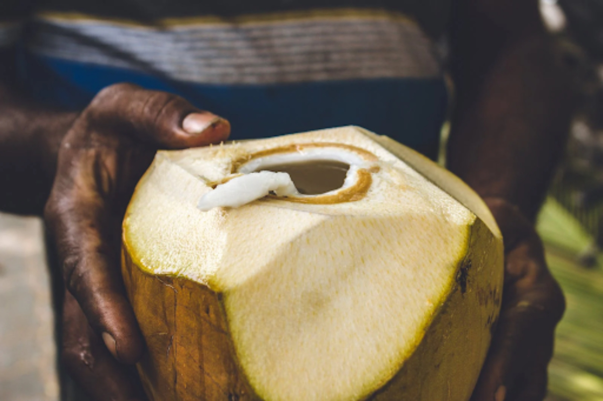 16 Manfaat Air Kelapa Hijau Bagi Kesehatan Yuk Cari Tahu