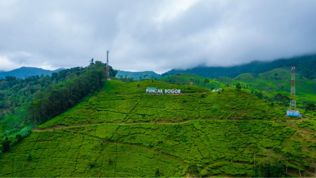 Puncak Gunung Mas: Liburan Keluarga Terbaik Dalam 3 Hari!