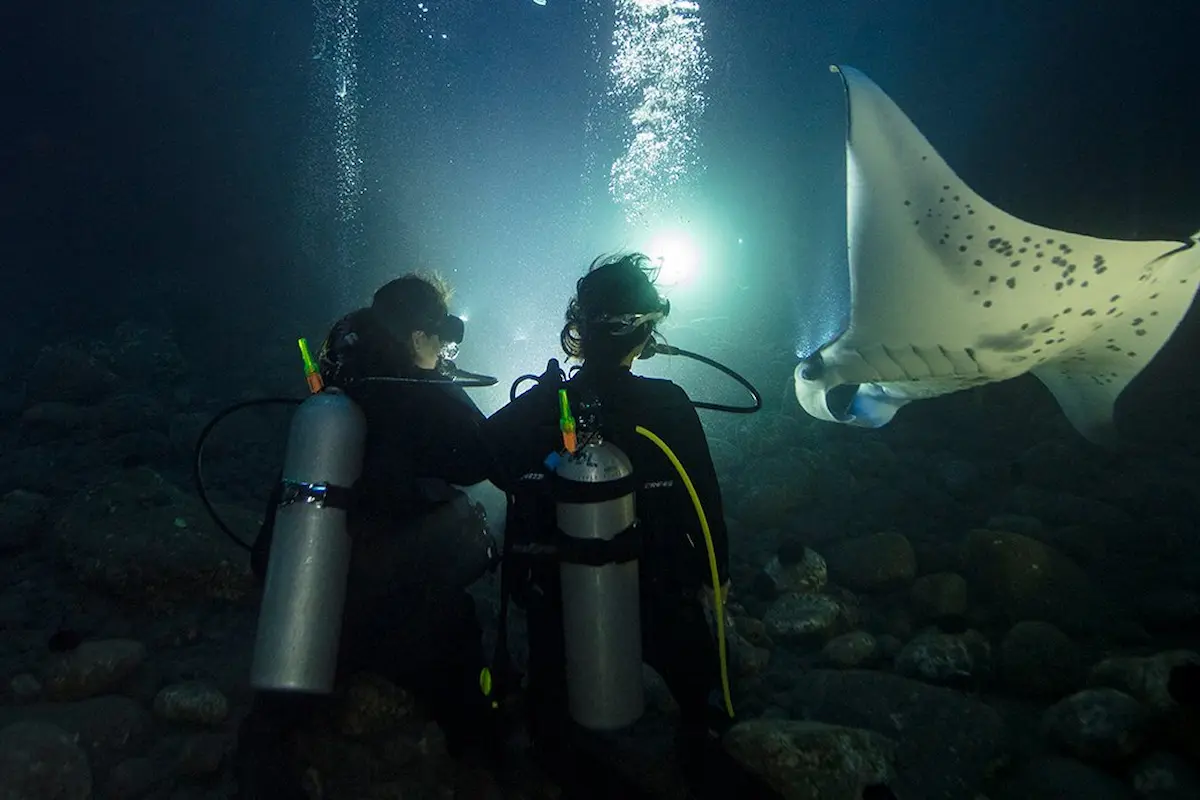 7 Night Diving Tips You Should Take Note Of