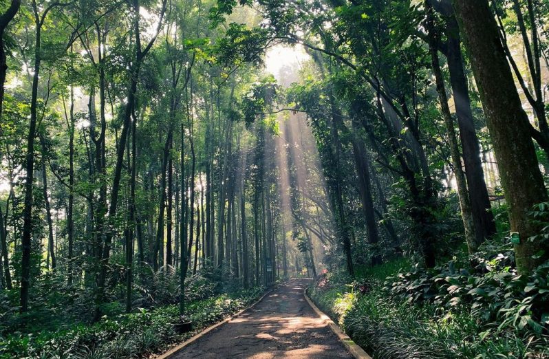 7 Desain Taman Kota Cantik di Indonesia, Berasa di Luar Negeri!