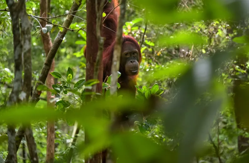 Taman Nasional Yang Cantik Dan Wajib Kamu Kunjungi!