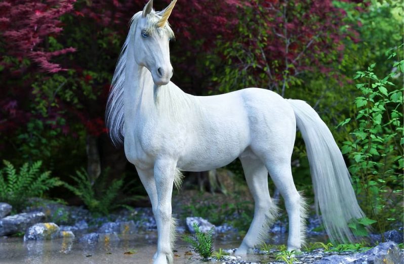 Warnai Hari Unicorn dengan Mempelajari Fakta-Fakta Unicorn Berikut Ini!