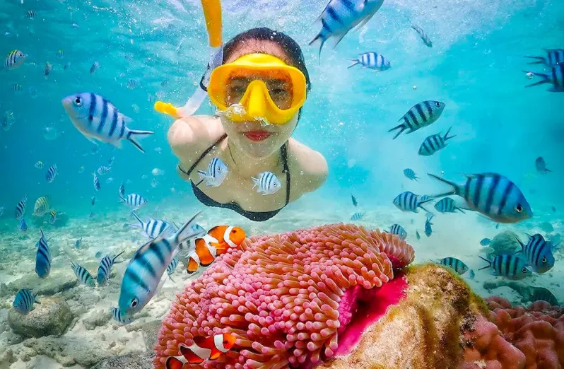 5 Snorkeling Tips for a Spectacular Underwater Experience